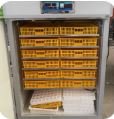 1056-Egg Automatic Digital Incubator – High Hatch Rate Poultry Hatcher for Chicken, Duck, & Goose - Image 5